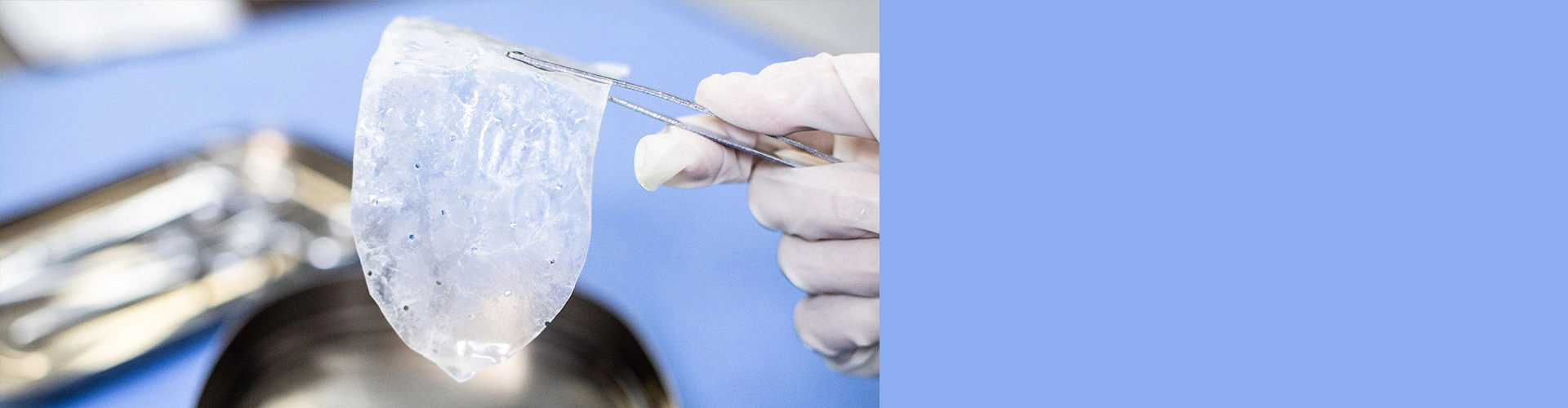 Perguntas frequentes sobre produtos biológicos