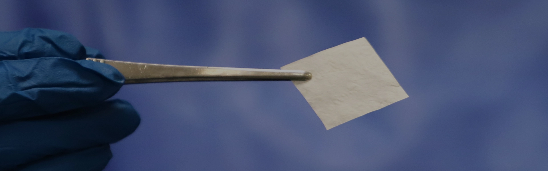 Empresa material sis