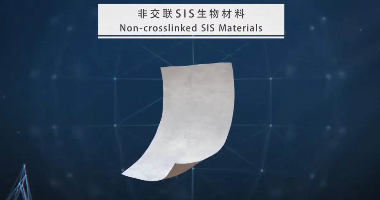 Malha Biorreabsorvível SIS