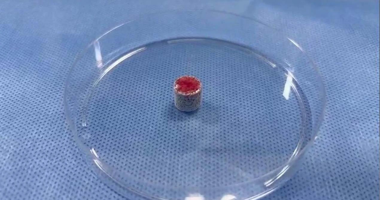 Material de Enxerto de Osso